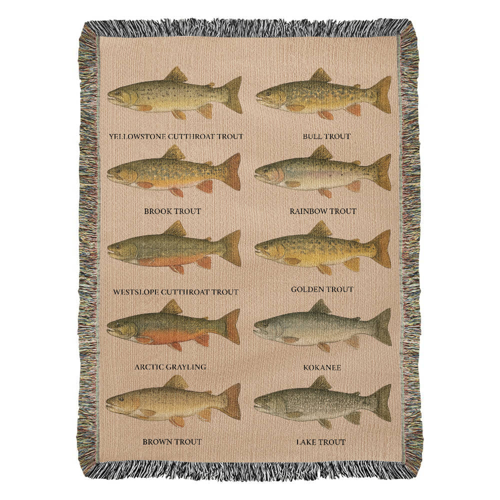 Montana Trout Light Tan 37 x 52