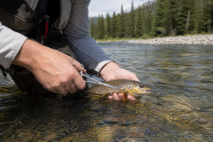 Because the Release Matters More Than the Catch