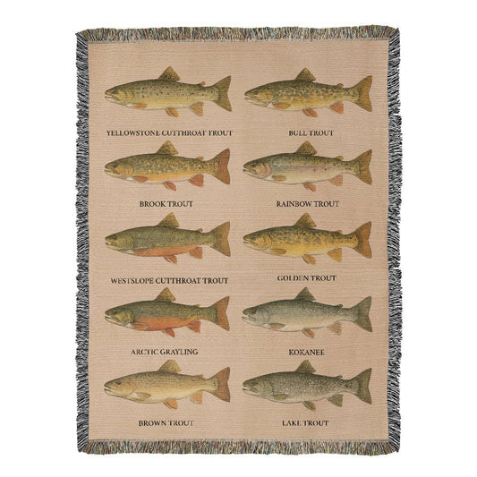 Montana Trout 60 x 80